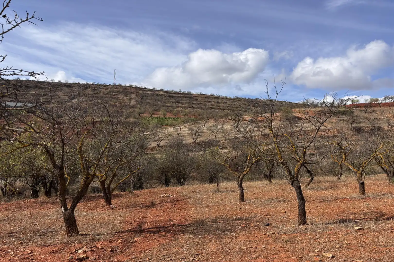 Rural land for sale in Nigüelas, imagen 11