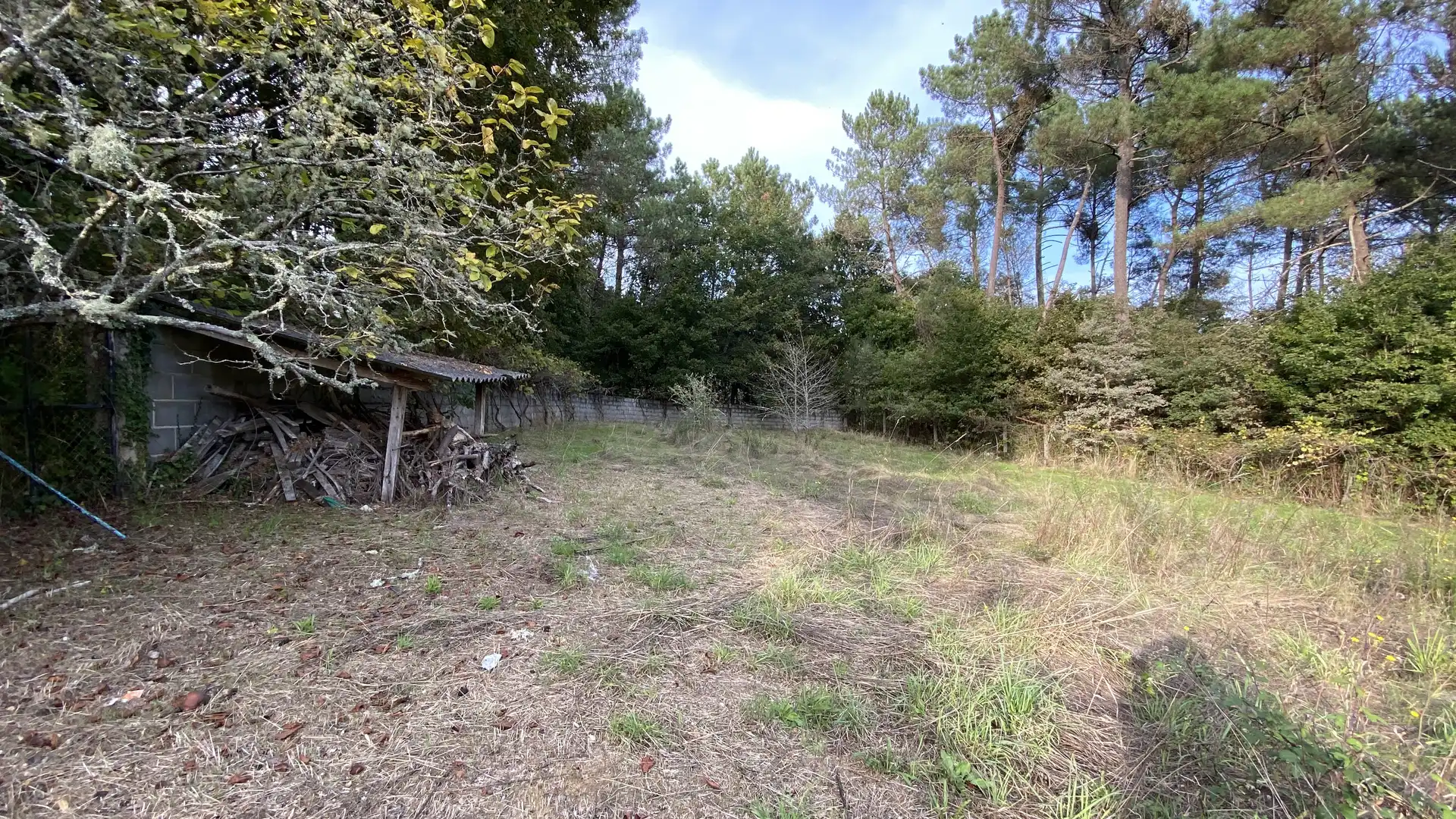 Maison avec jardin à vendre à O Carballiño, imagen 4