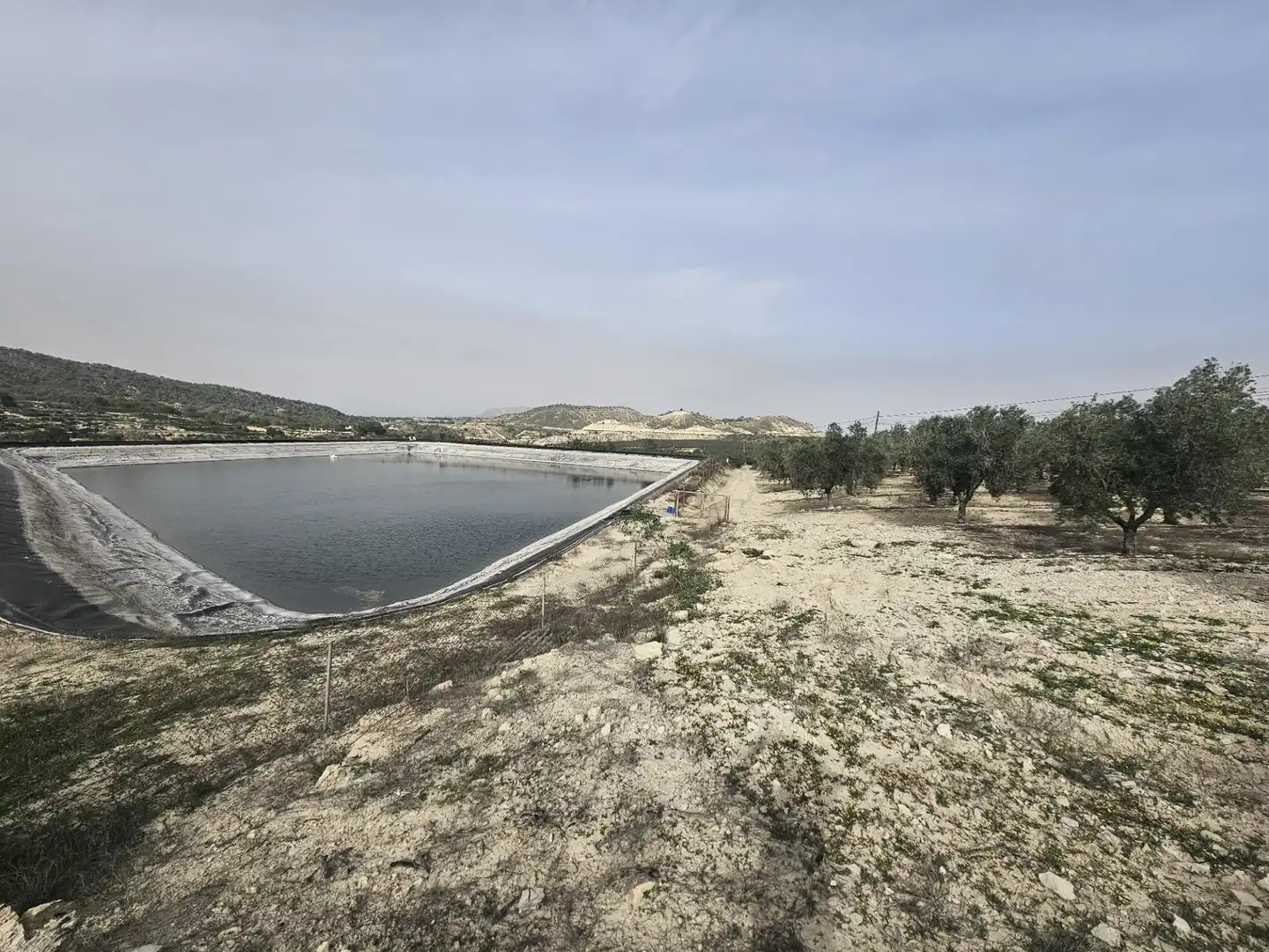 Rural land for sale in Desamparados - Hurchillo - Torremendo, imagen 8