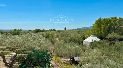 Foto 5 de Finca rústica en venda a Camarles, Tarragona