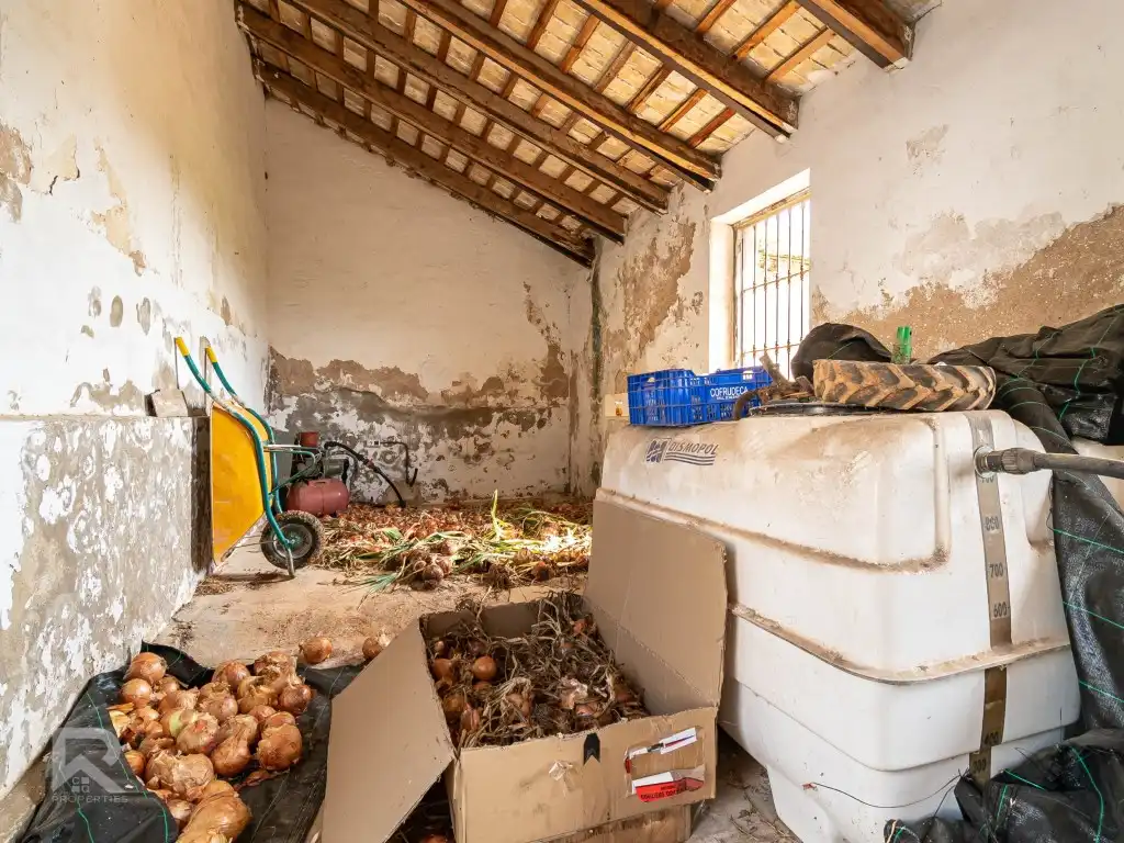 Garden of Houses for sale in Benifairó de la Valldigna