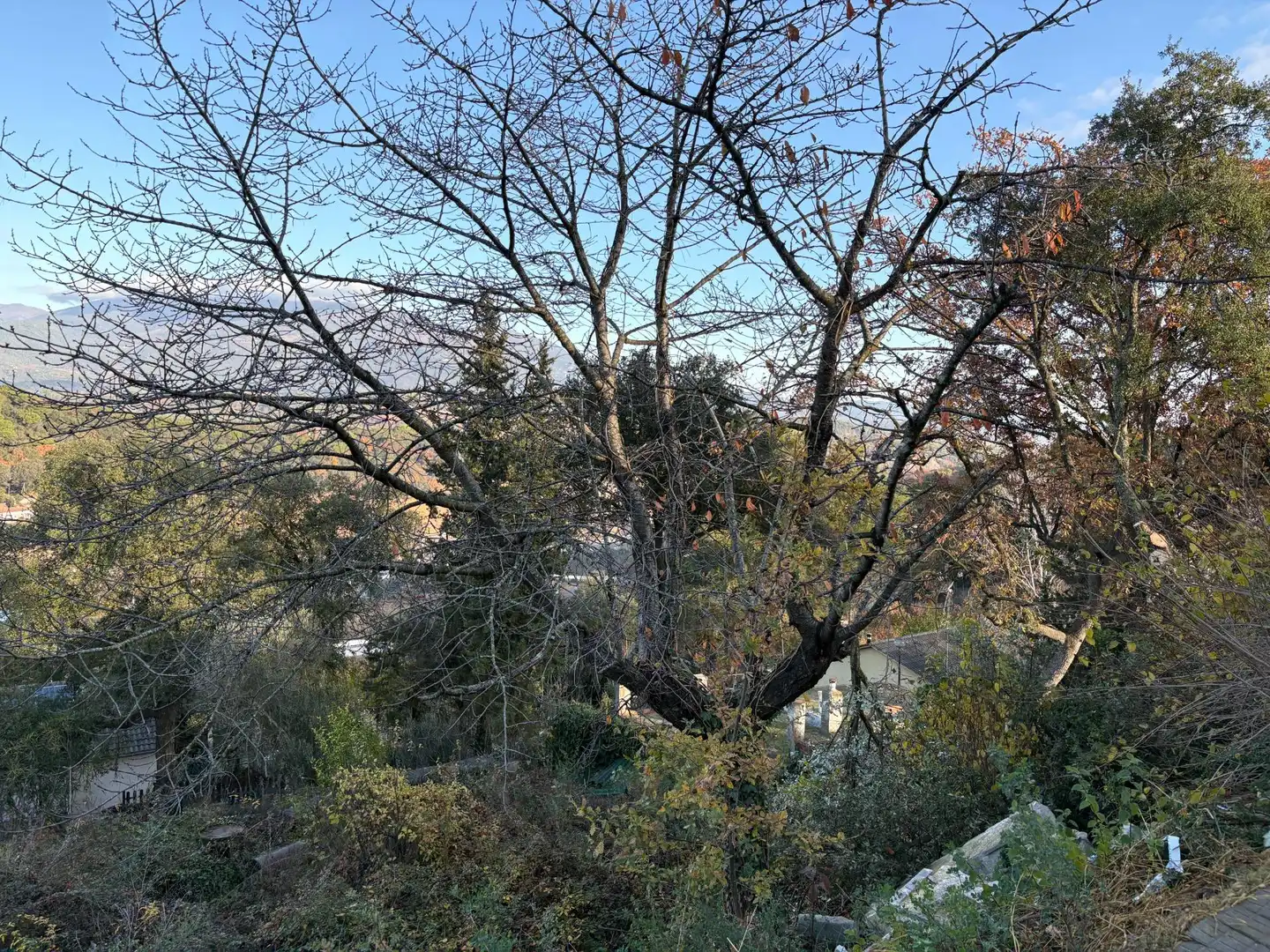Residential land for sale in Carrer del Turó de l'Home, imagen 14