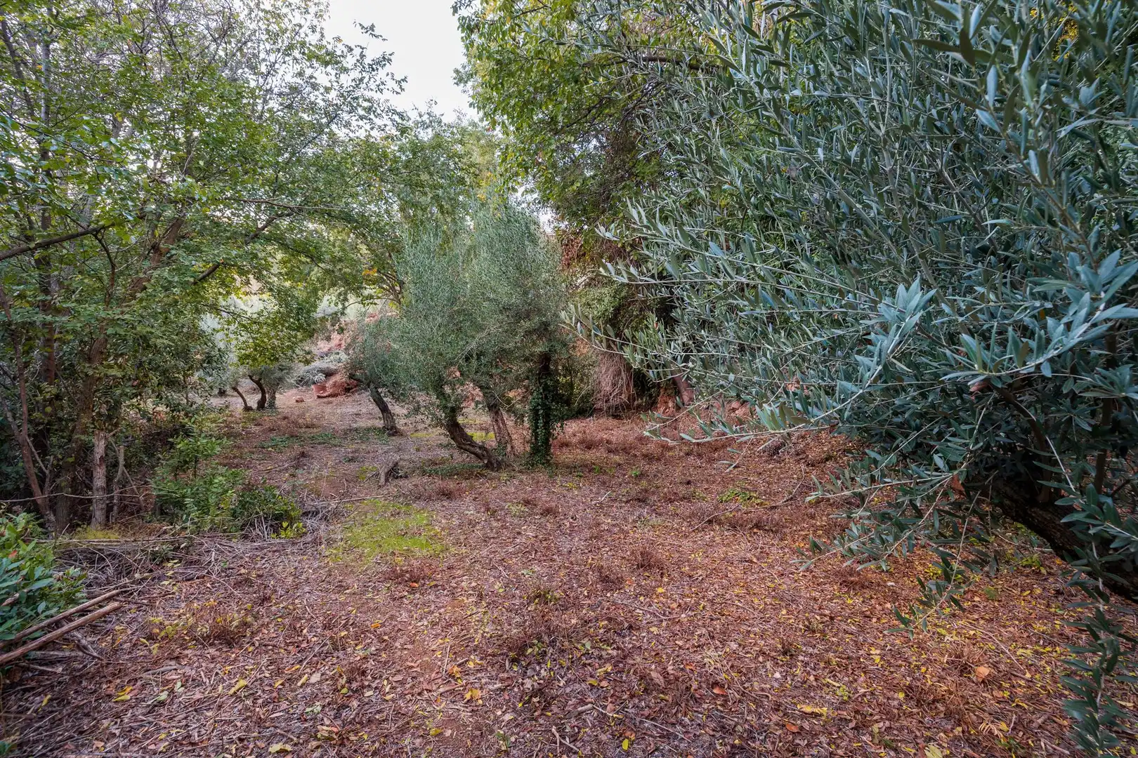 Casa o xalet en venda en Cogollos de la Vega