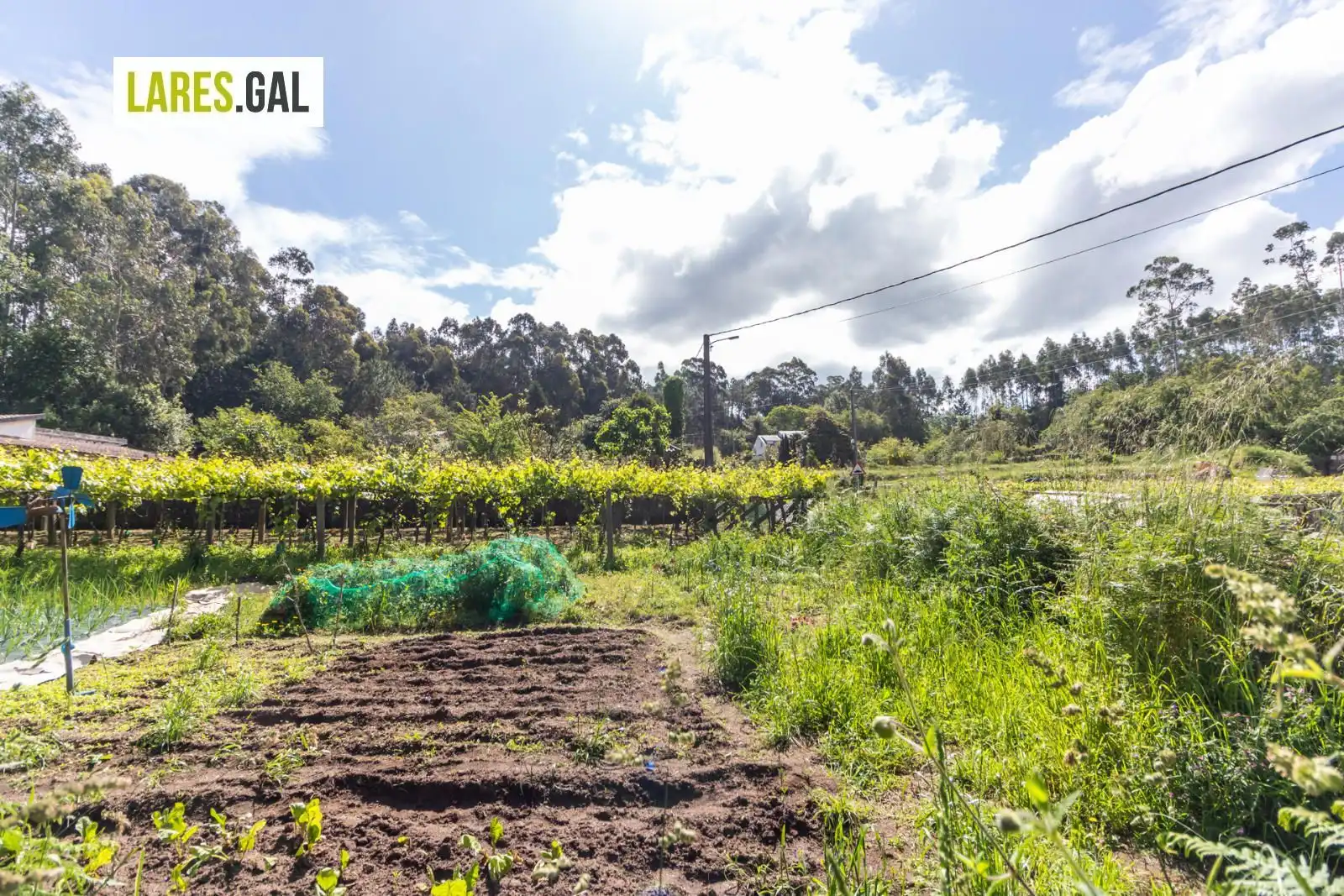 Lands and plots for sale in Rúa Herbello a Magdalena, imagen 8
