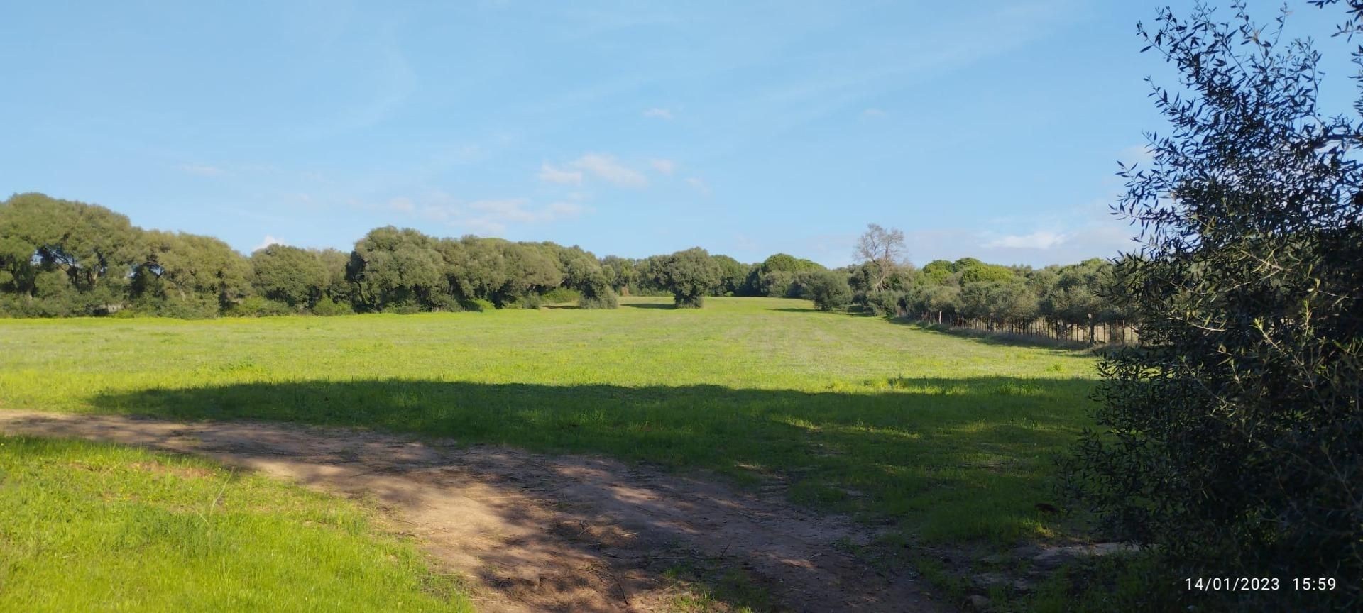 Residencial en venda en Barbate