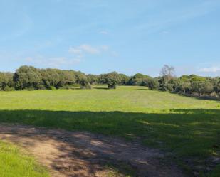 Residencial en venda en Barbate