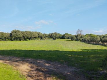 Terrain résidentiel à vendre à Cañada de Manzanete