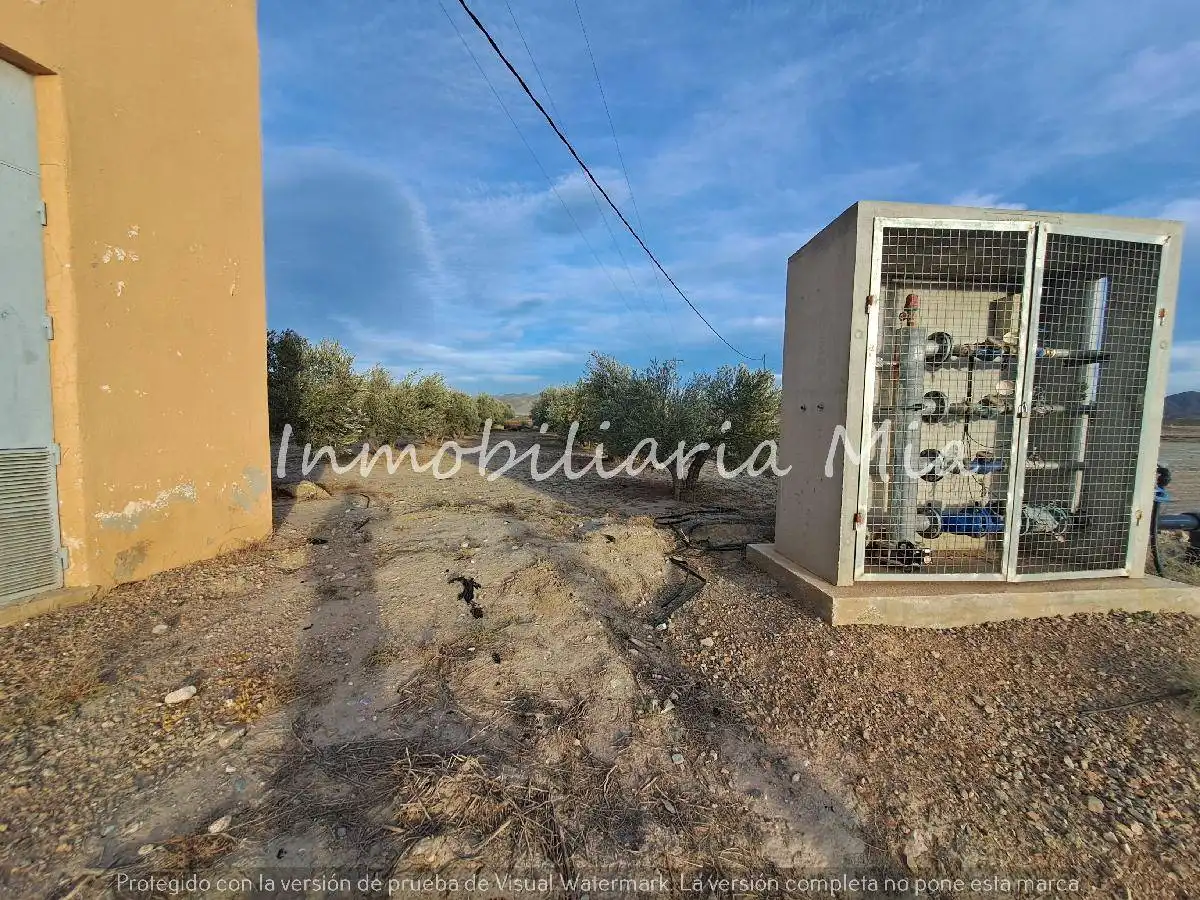 Houses for sale in Almendricos