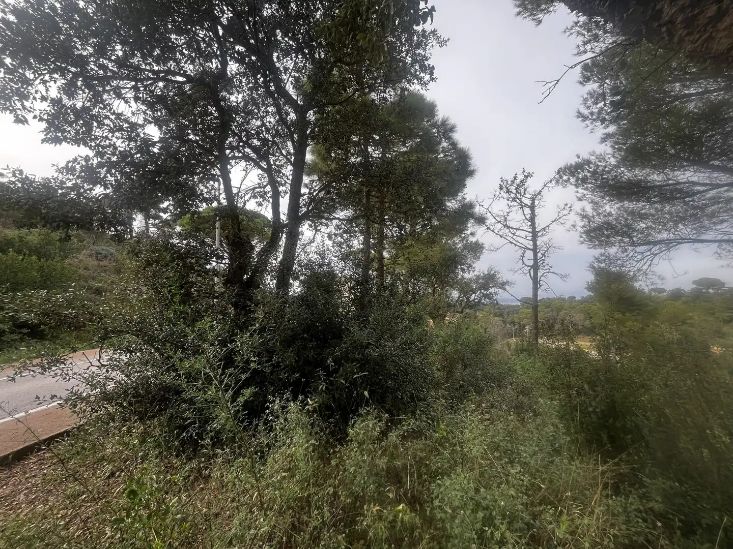 Terrenos y solares en venta en DE JOAQUIM PRATS I CARRERAS, imagen 2