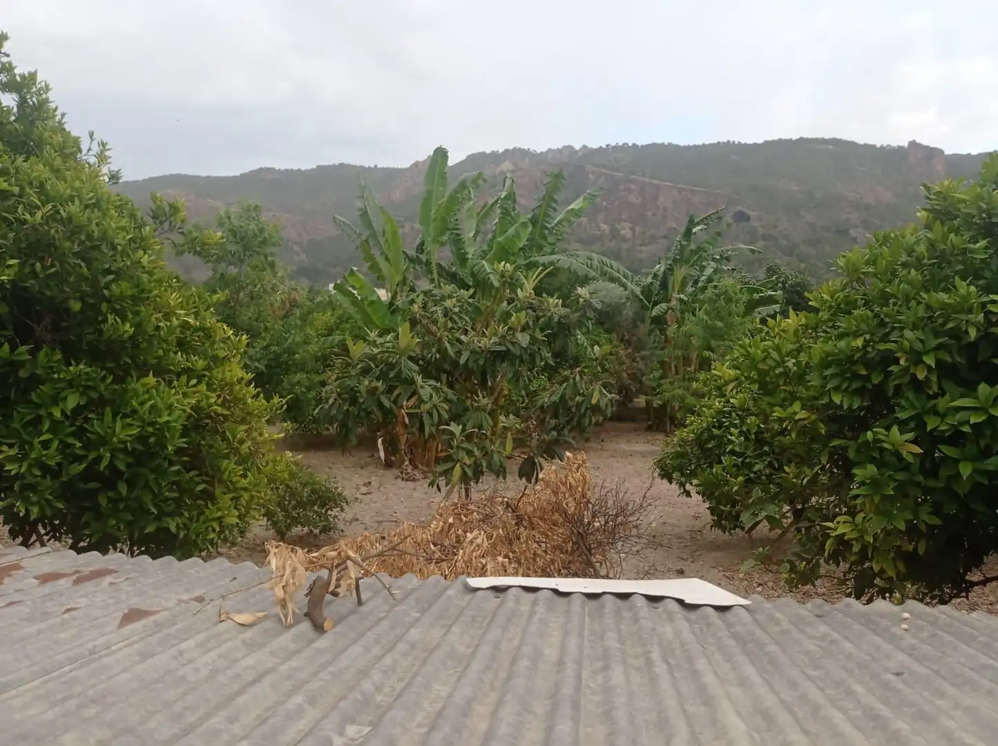 Finca rústica en venda en Murcia amb Jardí privat, Traster i Moblat