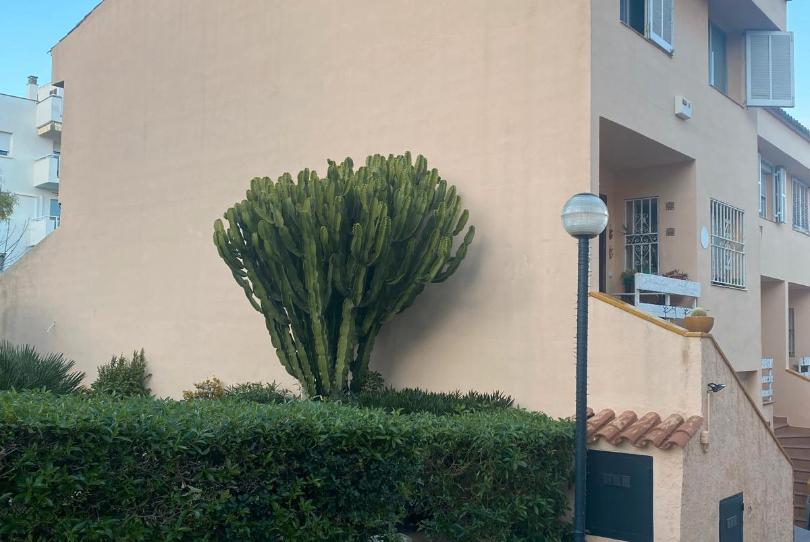 Photo 1 of Single-family semi-detached for sale in Carrer de Porto Pi, 8, Porto Pi, Illes Balears