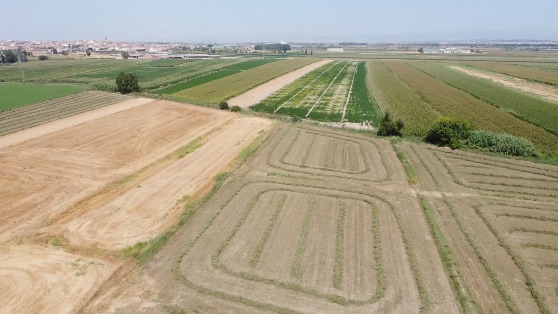 Terreno rustico in vendita a N/A, imagen 5