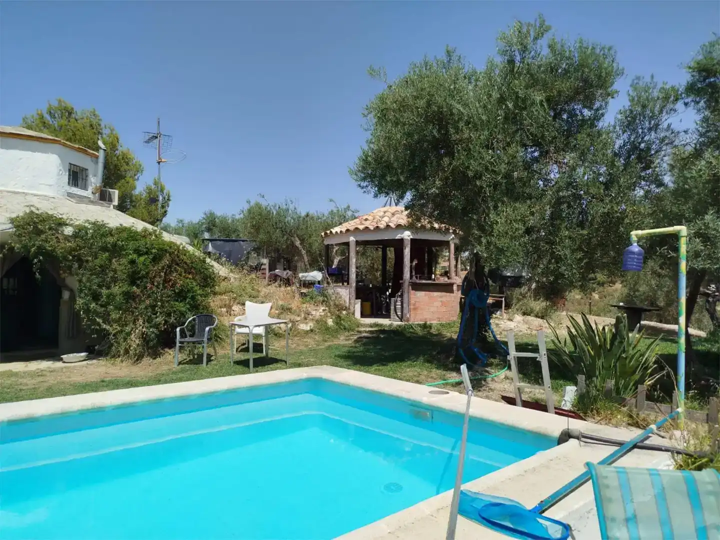 Piscina de Casa o chalet en venta en Algodonales con Jardín privado, Piscina y Amueblado