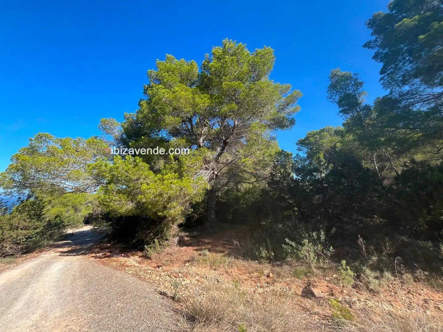 Terreno en venta en de Cala d'Hort, Es Cubells