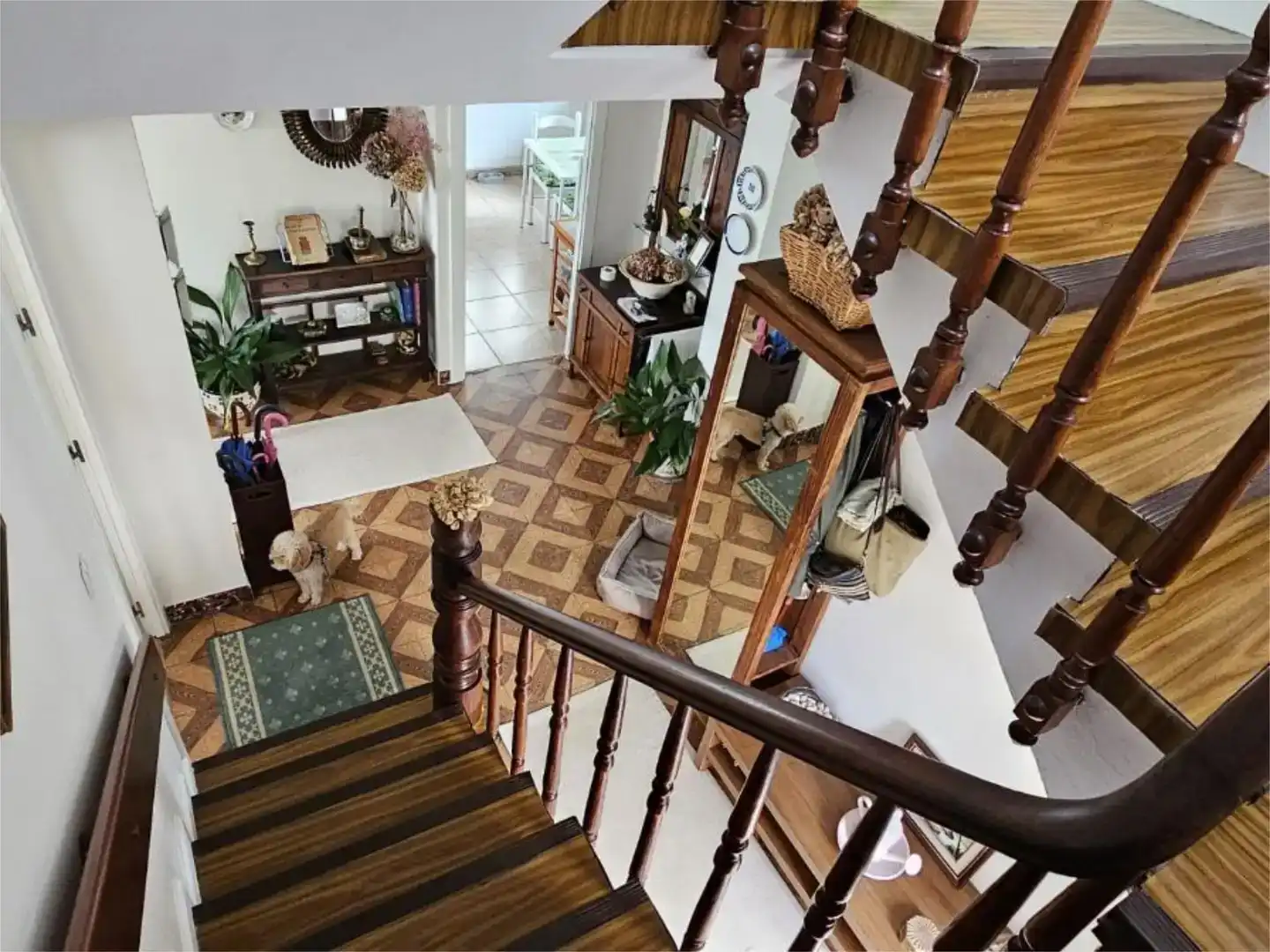 Casa o xalet en venda en Viveiro amb Jardí privat, Parquet i Moblat