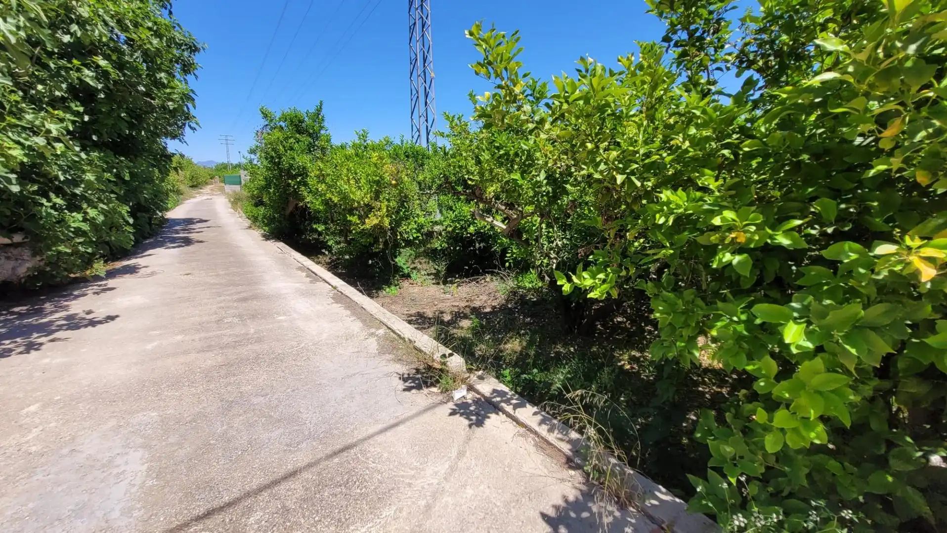 Terreno en venta en Murcia