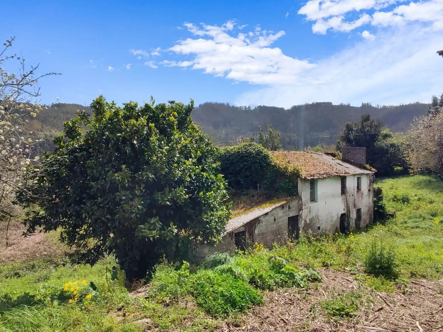 Villa avec jardin à vendre à Sumio 0, imagen 4