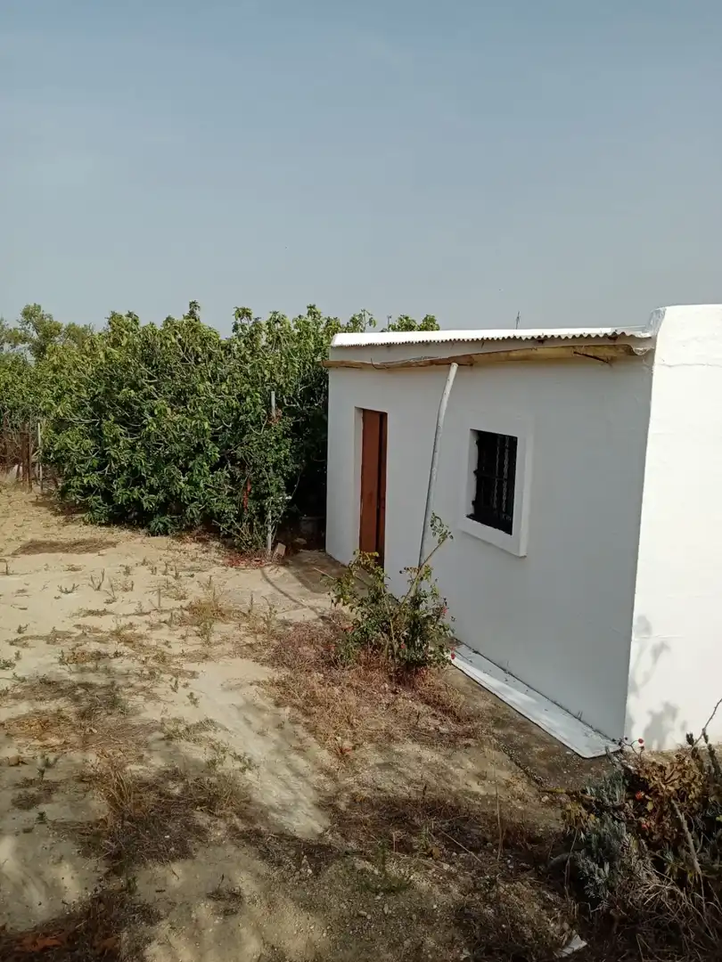 Terreny rústic en venda a Medina Sidonia, imagen 2