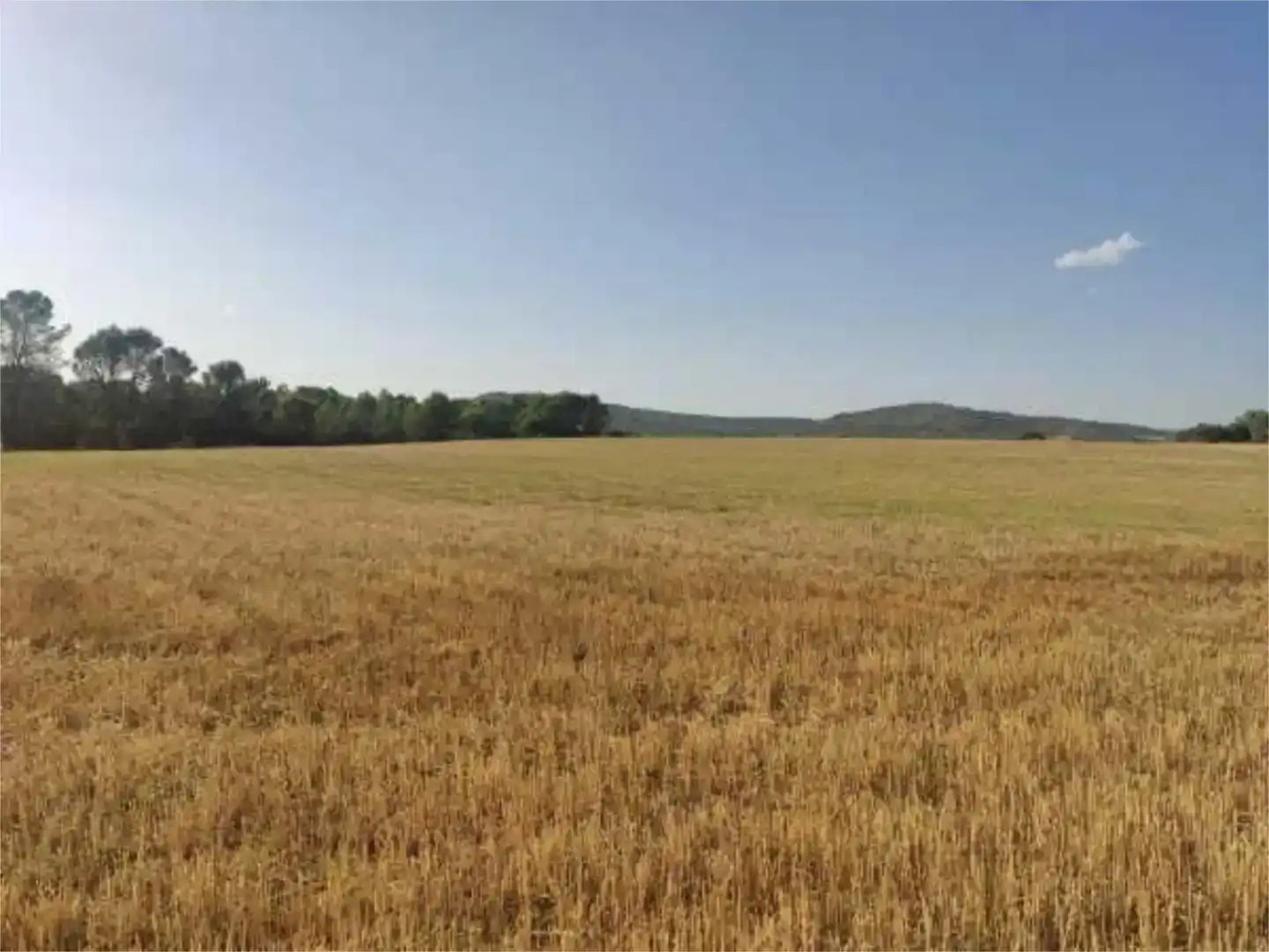 Terreno en venta en Alcocer