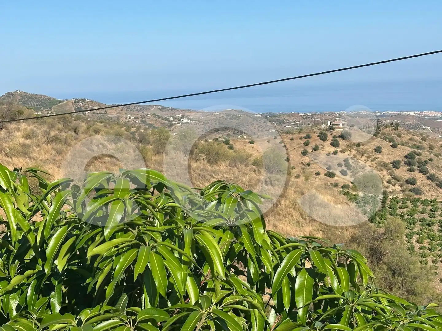 Vista exterior de Terreno en venta en Macharaviaya