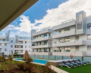 Swimming pool of Planta baja to rent in Marbella  with Air Conditioner and Swimming Pool