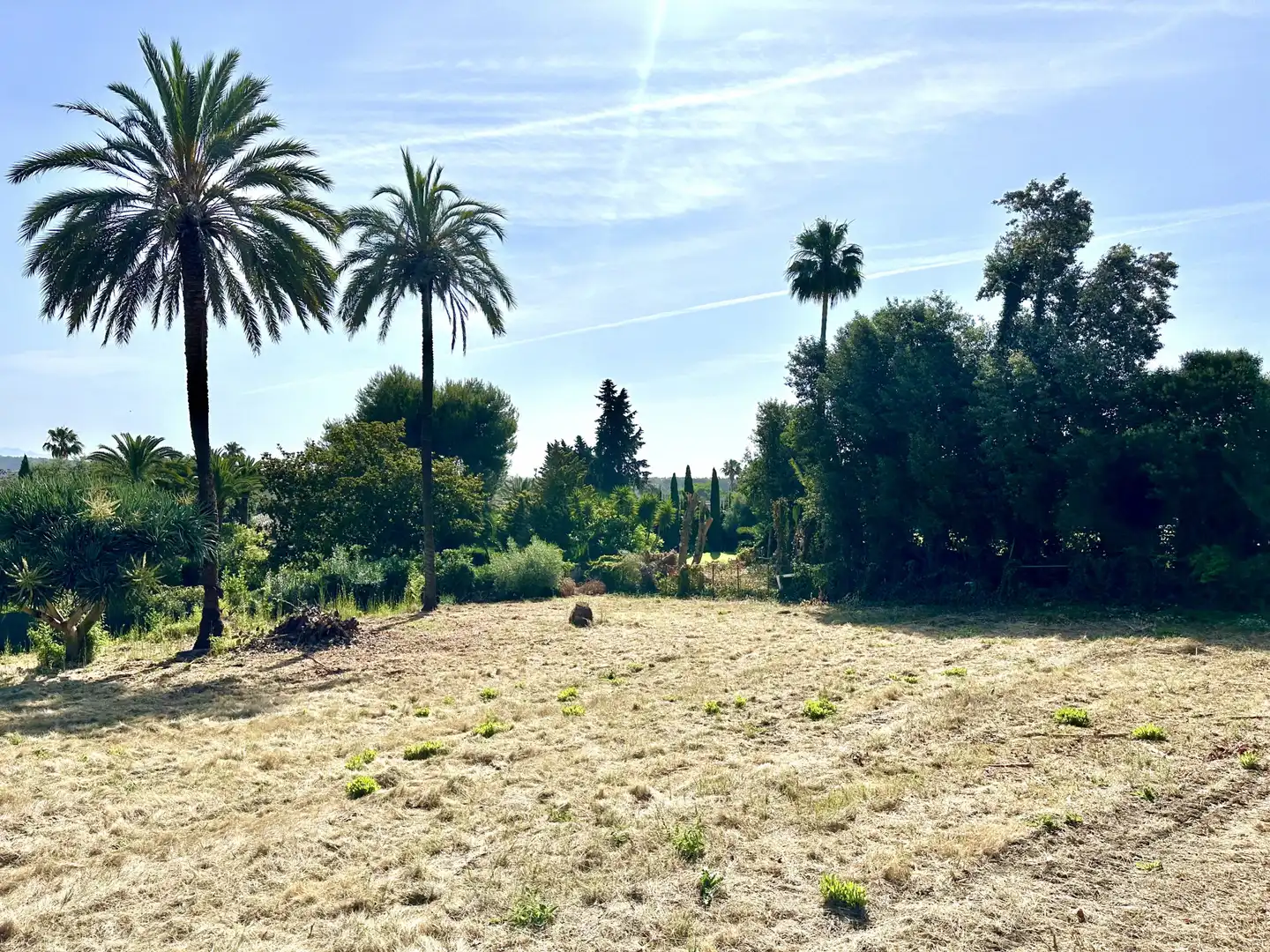 Terrenys i solars en venda a Sotogrande Costa, imagen 6