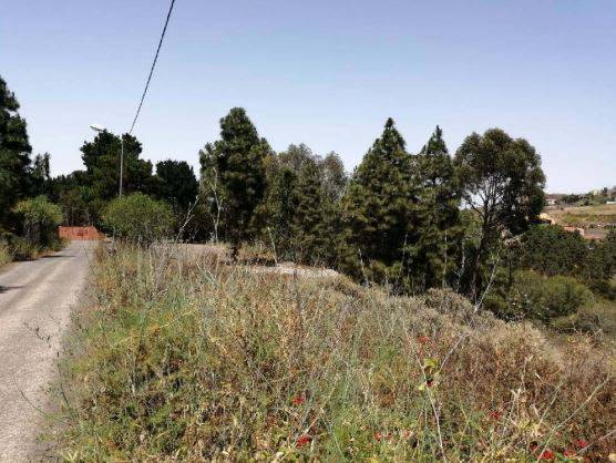 Nave industrial en Venta en C/ Lomo Obrero en Firgas