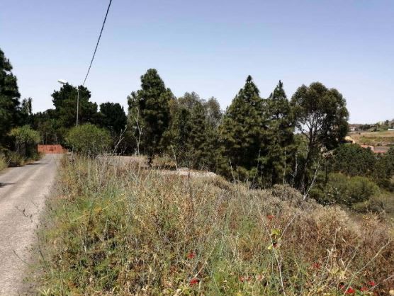 Fabrikhallen zum Verkauf in C/ Lomo Obrero, Firgas