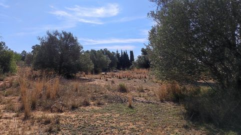Foto 2 de Terreno en venta en Polígono del Aeropuerto, Manises