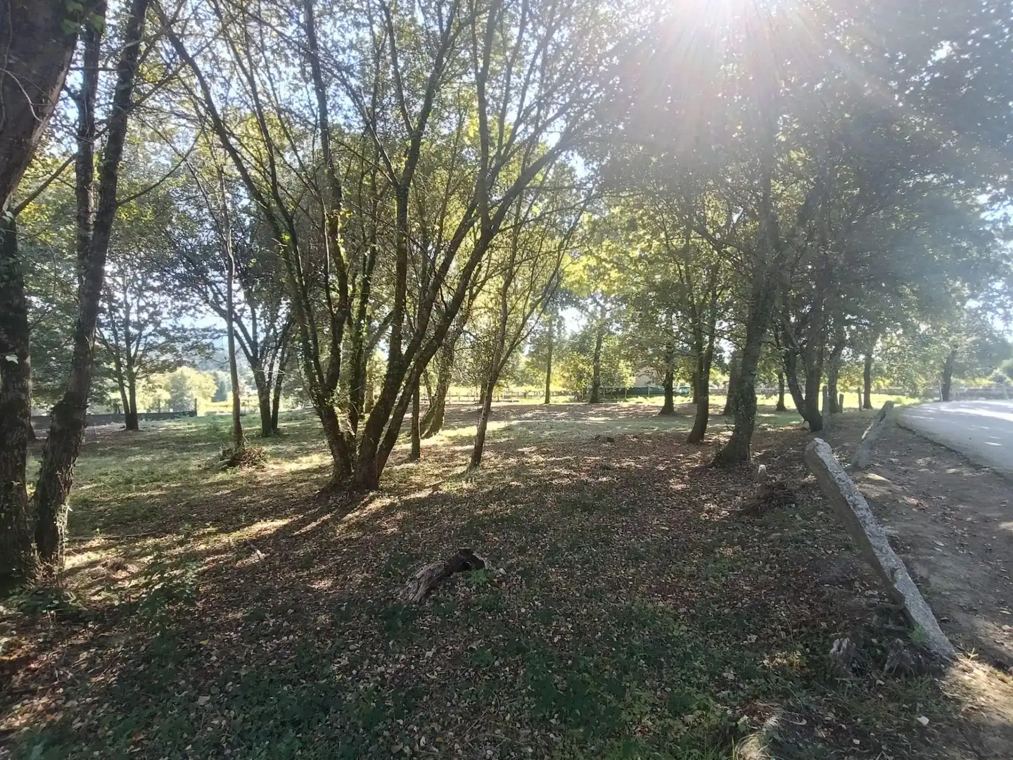 Residential land for sale in Lugar Barreiros, imagen 8