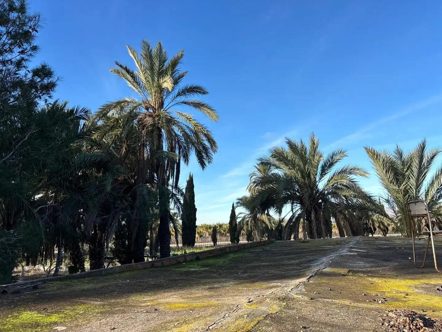 Vista exterior de Finca rústica en venda en Elche / Elx