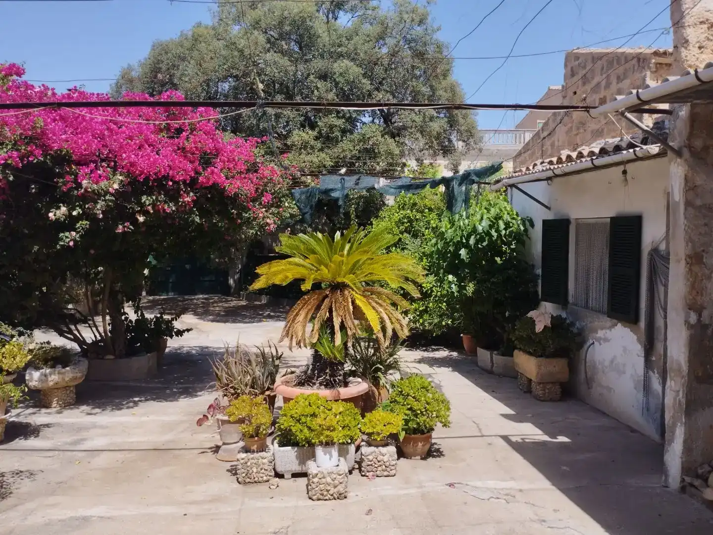 Garden of Flat for sale in Ariany  with Private garden, Storage room and Furnished