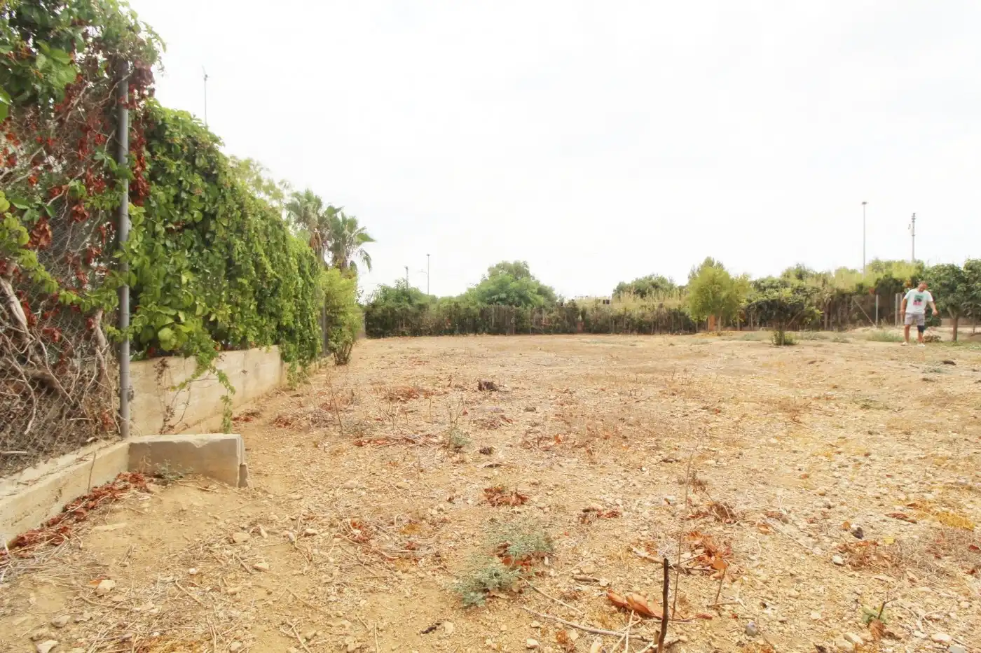 Terreny residencial en venda a Roda de Barà, imagen 4