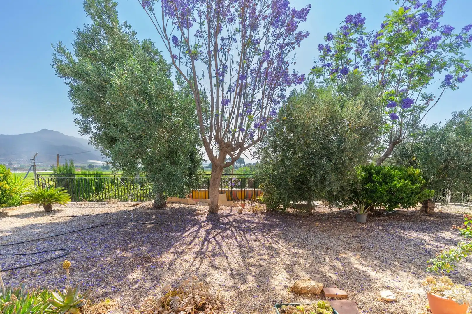 Garden of Country homes for sale in Abarán  with Terrace and Furnished