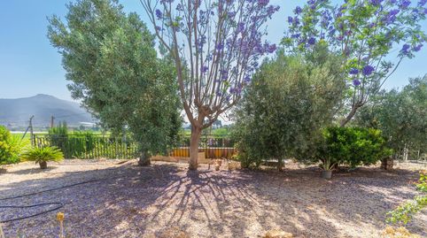 Photo 3 of Country homes for sale in el Rulete-20, 39, Abarán, Murcia