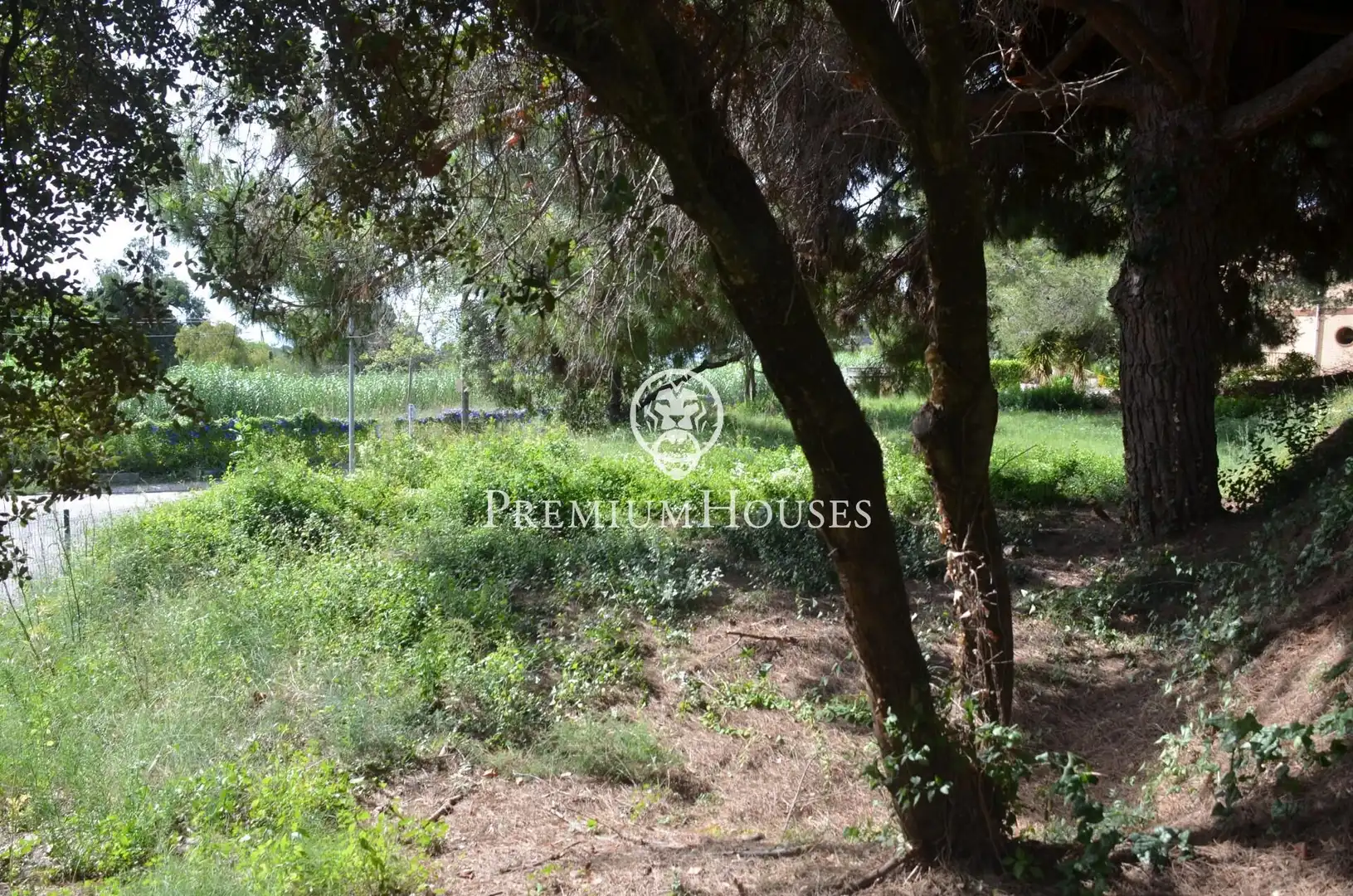 Residential land for sale in Cabrera de Mar, imagen 15