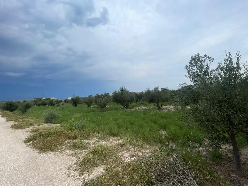 Terreno rustico in vendita a Dolores, imagen 17