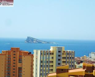 Exterior view of Study for sale in Benidorm  with Terrace