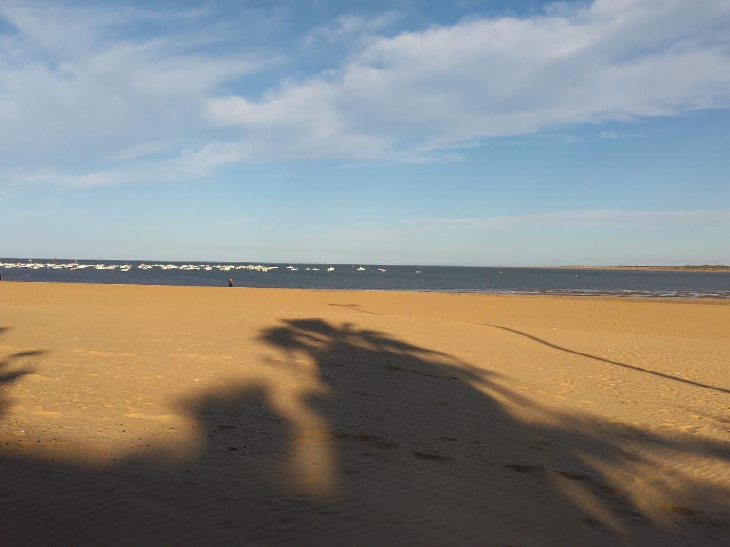 Vista exterior de Planta baixa en venda en Sanlúcar de Barrameda amb Terrassa i Moblat