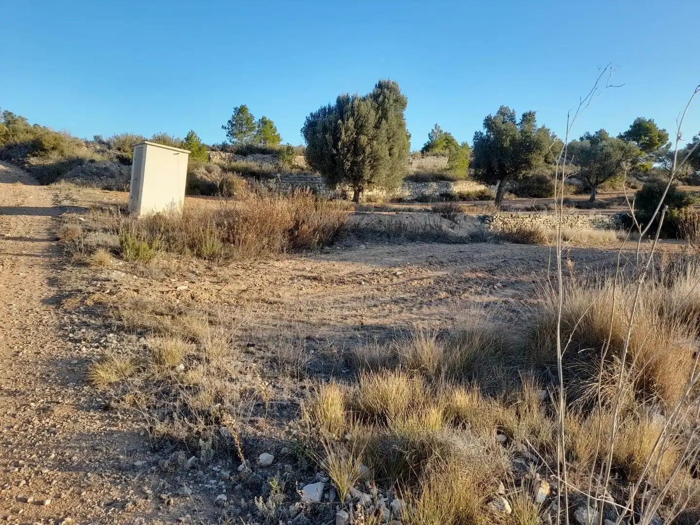 Terreno rústico en venta en Corbera d'Ebre, imagen 17