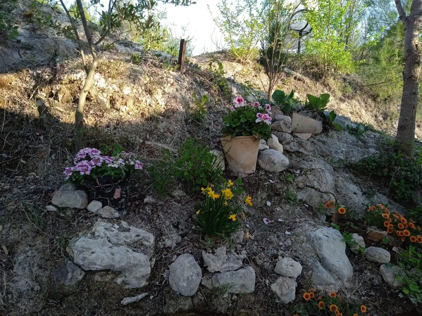 Jardín de Finca rústica en venta en Cocentaina