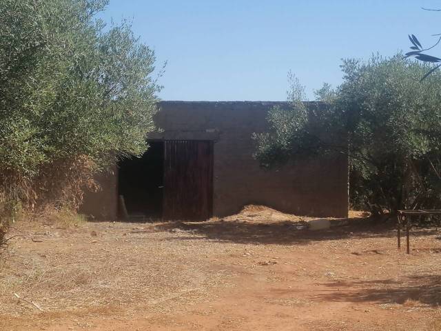 Terreno en Venta en Arrobones, 1 en Carmona