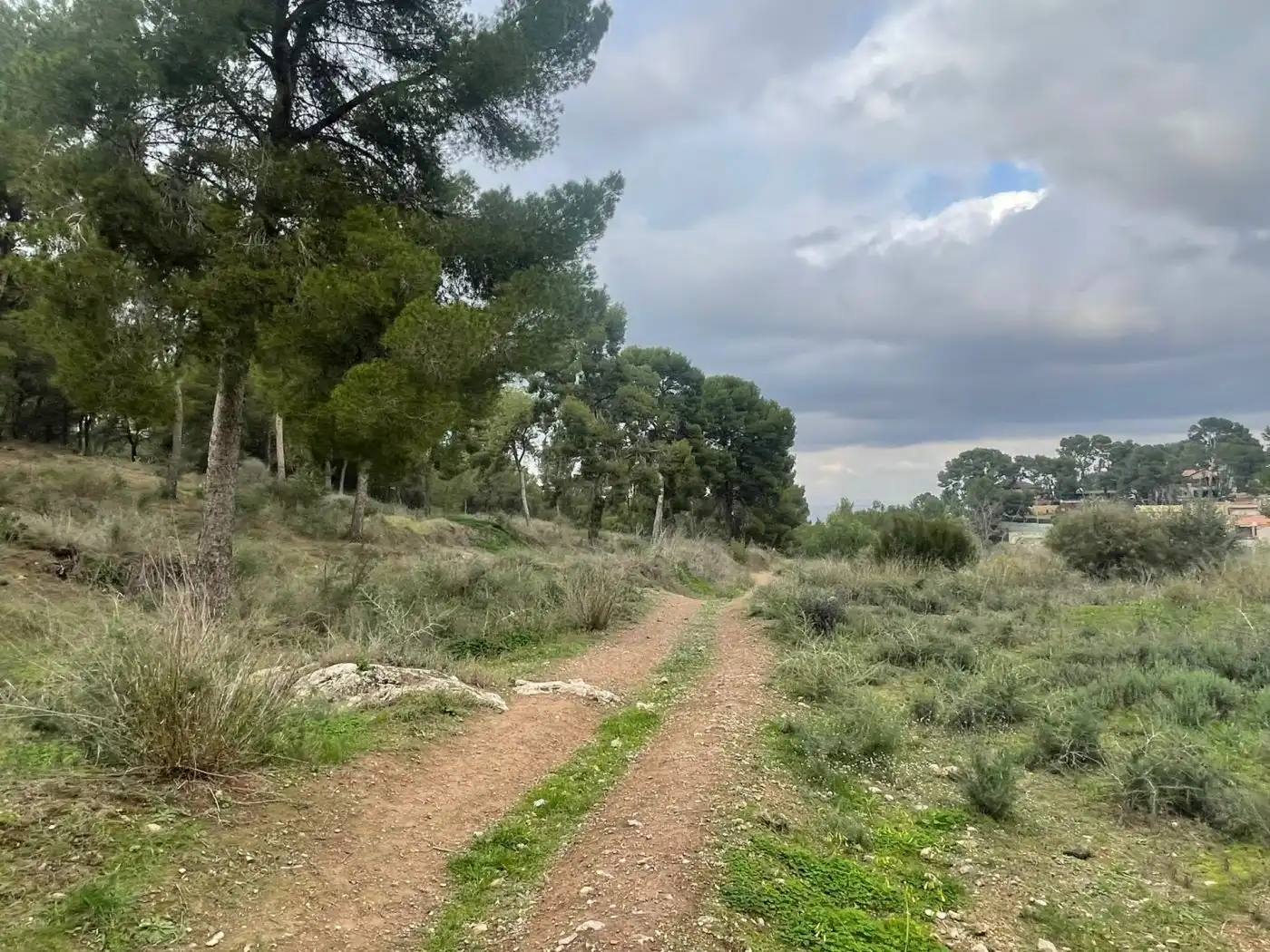 Terreno residenziale in vendita a Pedanías Este, imagen 2