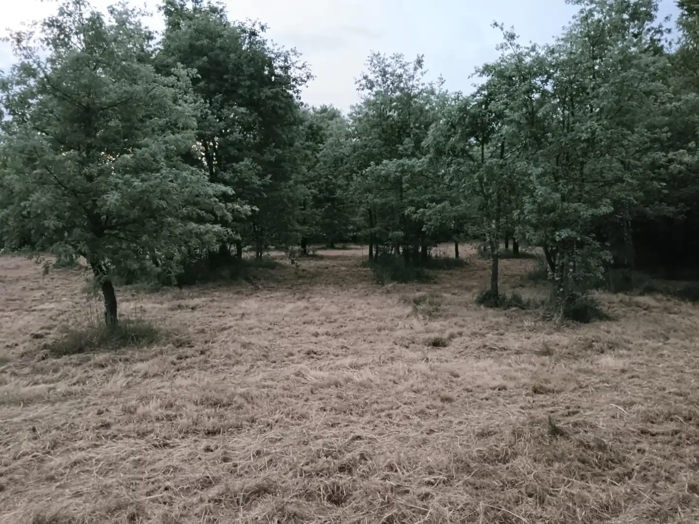 Terreno en venta en Baltar