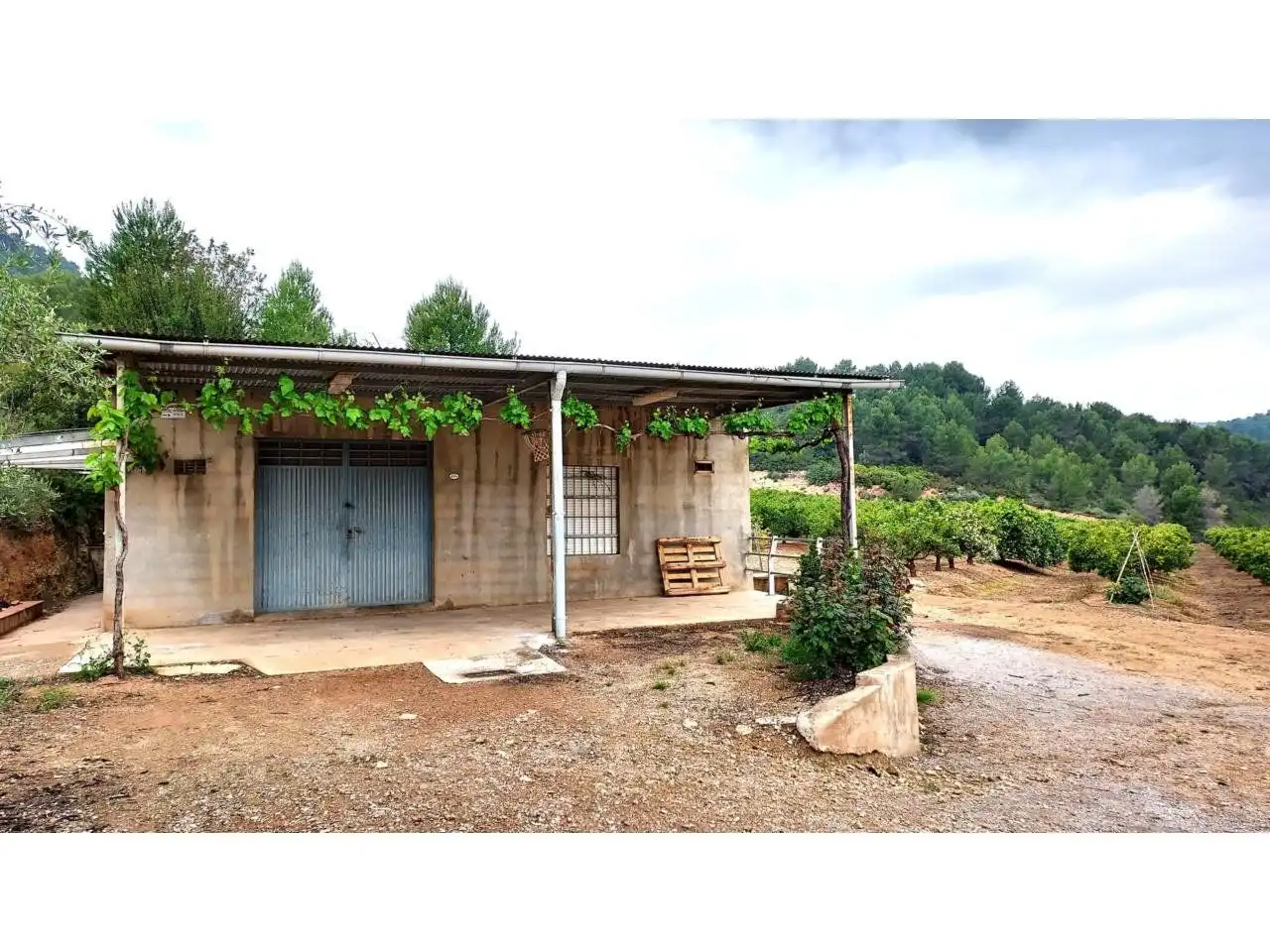 Rural land for sale in 30, imagen 5