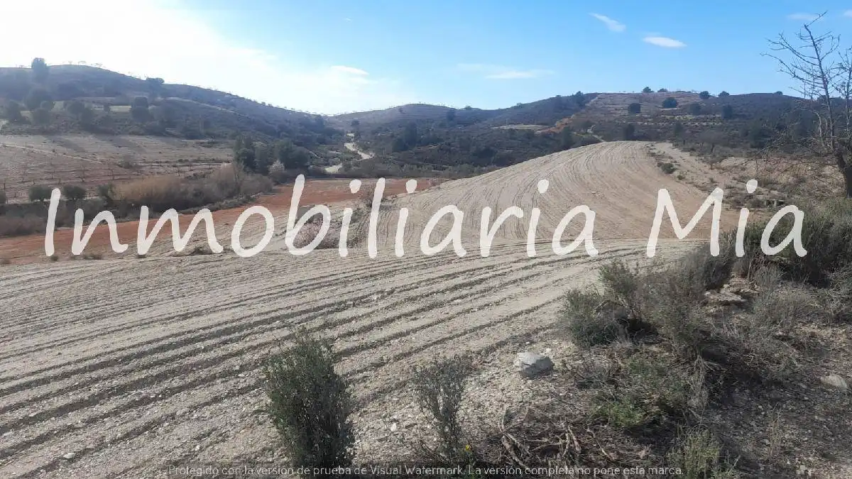 Houses for sale in Zarzalico