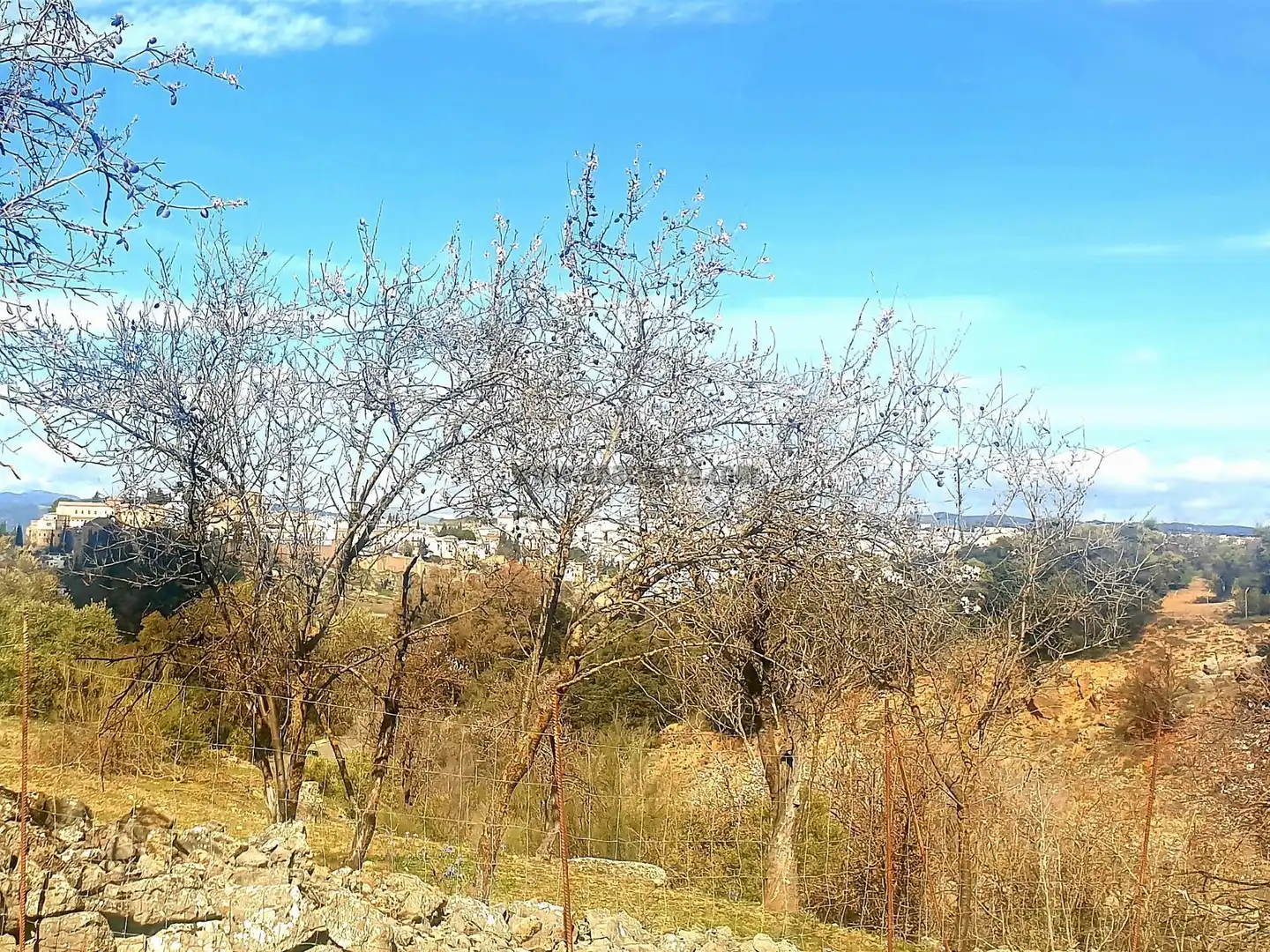Terrenys i solars en venda a La Planilla, Cra. A-6300, imagen 11