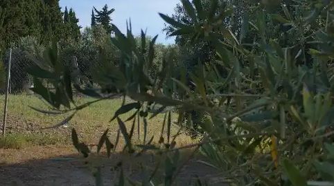 Foto 2 de Finca rústica en venda a Carretera Córdoba - Málaga, S-n, Montilla, Córdoba