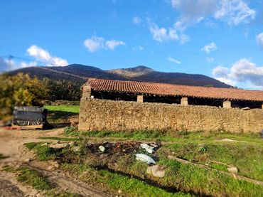 Terreno rústico en venta en Jarandilla de la Vera