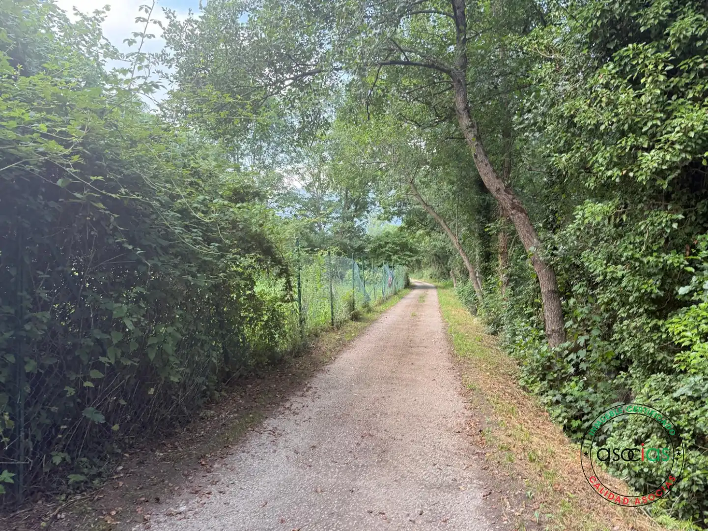 Land for sale in Quirós